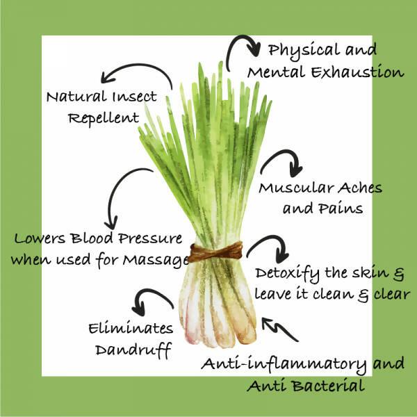 Sarva by Anadi Lemongrass Pure Essential Oil - Distacart