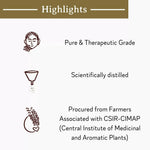 Thumbnail for Mitti Se Peppermint Essential Oil - Distacart
