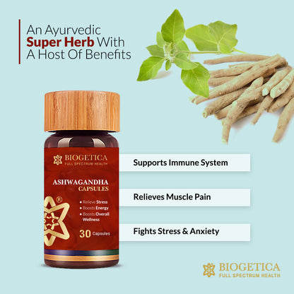 Ashwagandha 30 Cap 