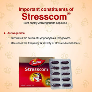 Dabur Stresscom Ashwagandha Ingredients