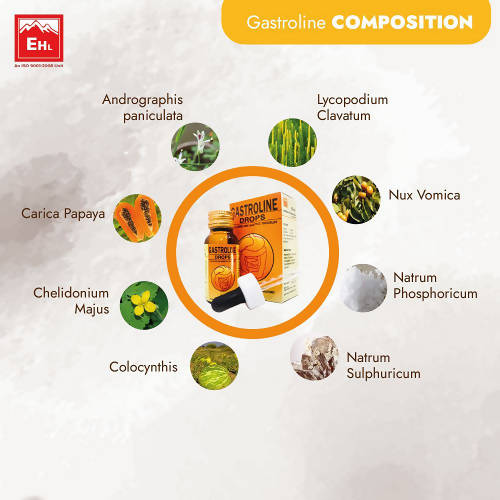 Everest Homeopathy Gastroline Drops