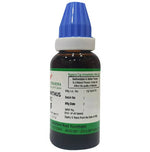Thumbnail for Hering Pharma Phylanthus Niruri Mother Tincture Q - Distacart