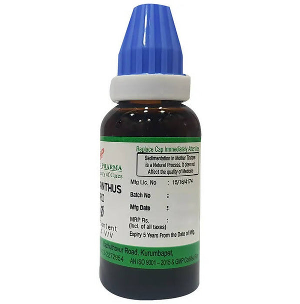 Hering Pharma Phylanthus Niruri Mother Tincture Q - Distacart