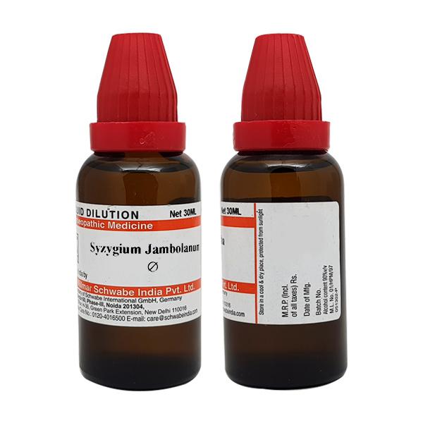 Dr. Willmar Schwabe India Syzygium Jambolanum Mother Tincture Q 30 Ml