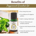 Thumbnail for Mitti Se Peppermint Essential Oil - Distacart