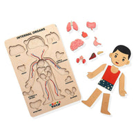 Thumbnail for Nesta Toys Human Body | Internal Organs Wooden Puzzle - Distacart
