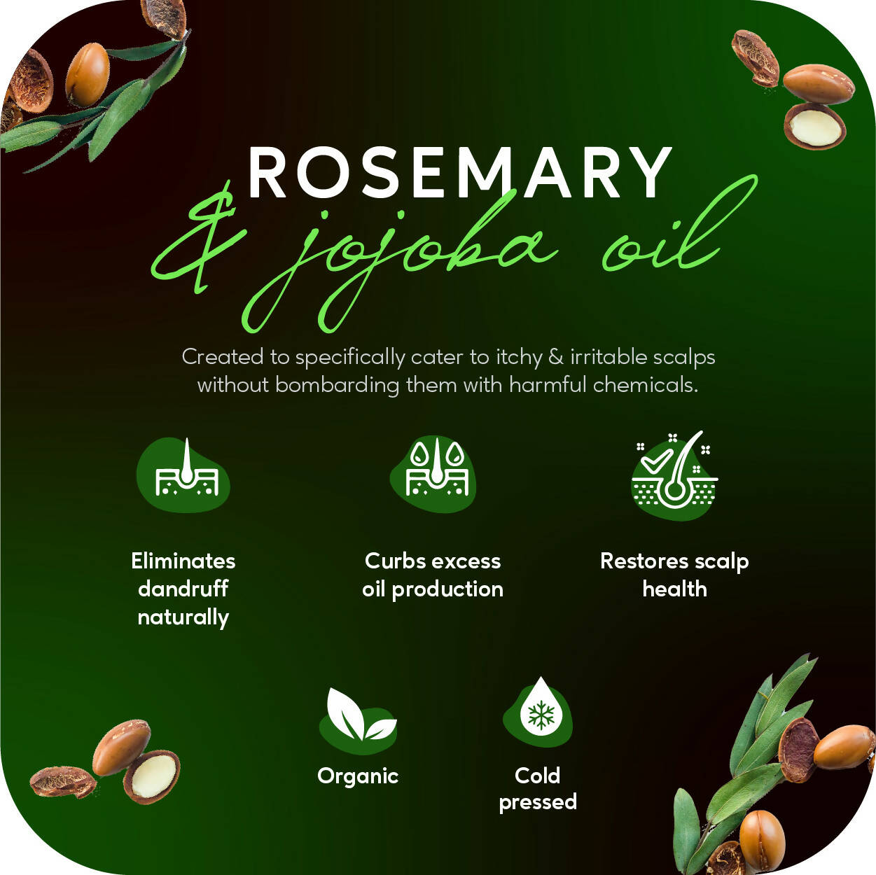 Careberry Organic Rosemary & Jojoba Anti Dandruff Hair Oil - Distacart