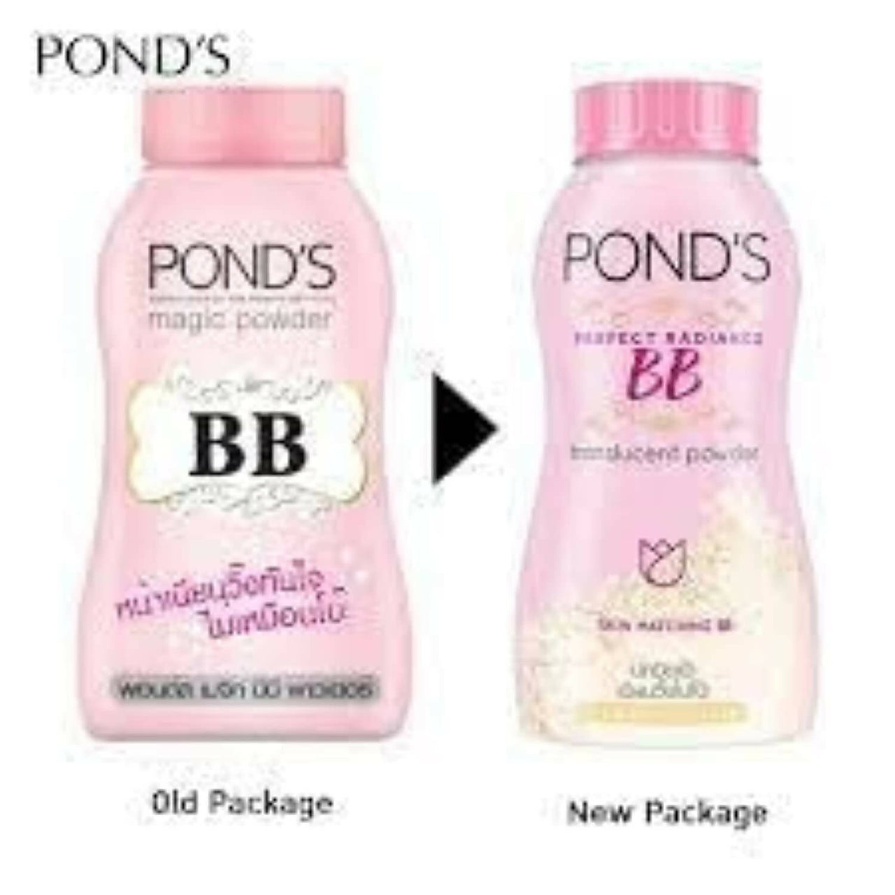 Ponds Perfect Radiance BB Translucent Powder - Distacart
