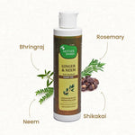 Thumbnail for Mother Sparsh Ginger & Neem Anti-Dandruff Hair Oil