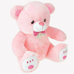 Thumbnail for Webby Plush Cute Sitting Teddy Bear Soft Toys With Neck Bow And Foot Print, Pink - Distacart