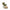 Plum Green Tea Clear Face Mask - Distacart