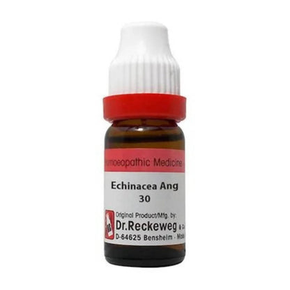 Dr. Reckeweg Echinacea Ang Dilution - Distacart