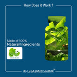 Thumbnail for Laurik Foods Ginkgo Biloba 120 Mg Tablets - Distacart