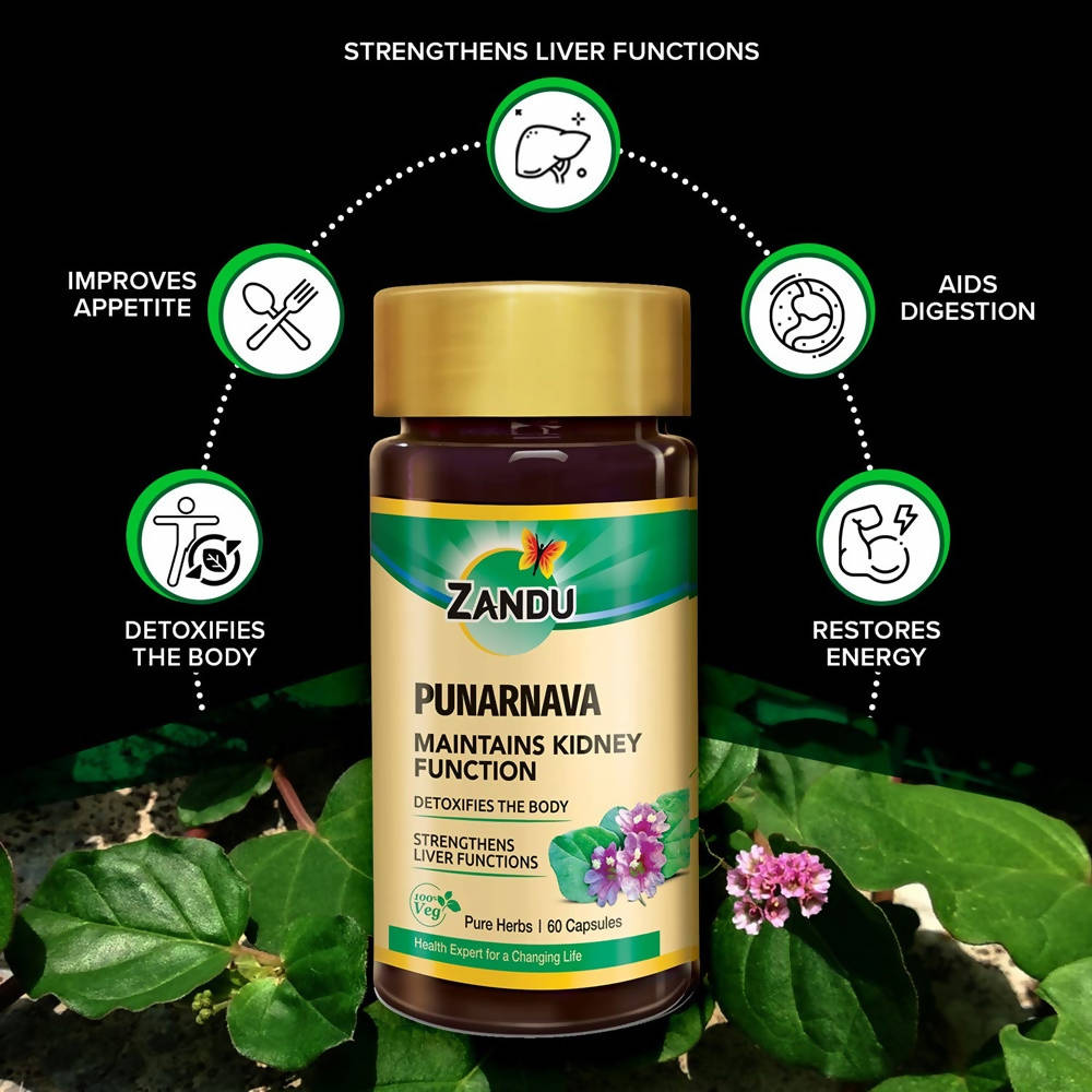 Zandu Punarnava Capsules - Distacart