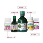 Thumbnail for Kudos Ayurveda Kidney Care Kit