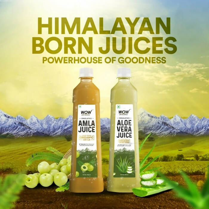 Wow Life Science Himalayan Amla Juice - Distacart