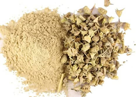 Hebsur Herbals Gokhru (Neglimul) Powder - Distacart