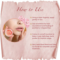 Thumbnail for Khadi Essentials Wild Rose Lip Balm with Shea Butter & Essential Oils - Distacart