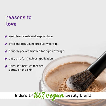 Plum Soft Blend Setting Brush Easy Pick-up 03 - Distacart