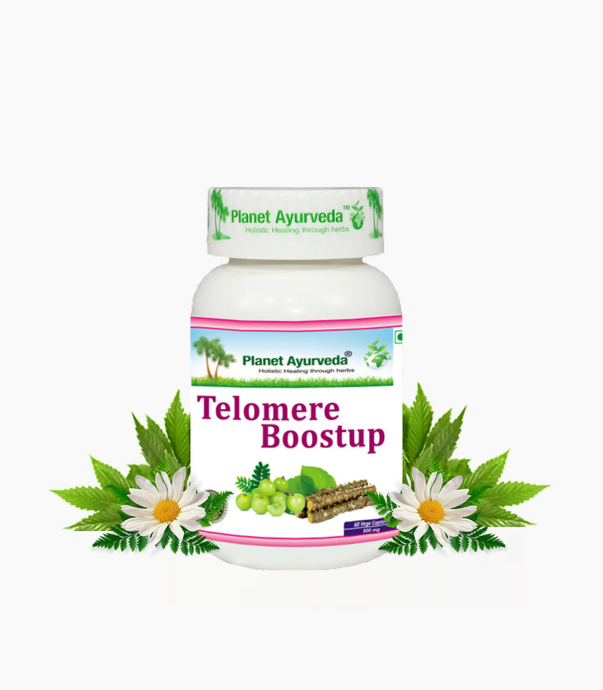 Planet Ayurveda Telomere Boostup Capsules - Distacart