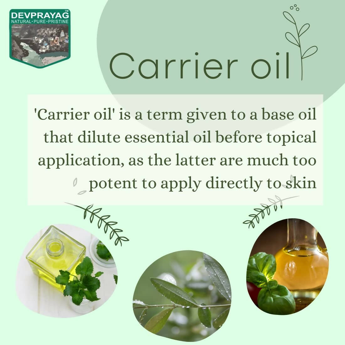 Devprayag Pure Cashew Nut Oil - Distacart