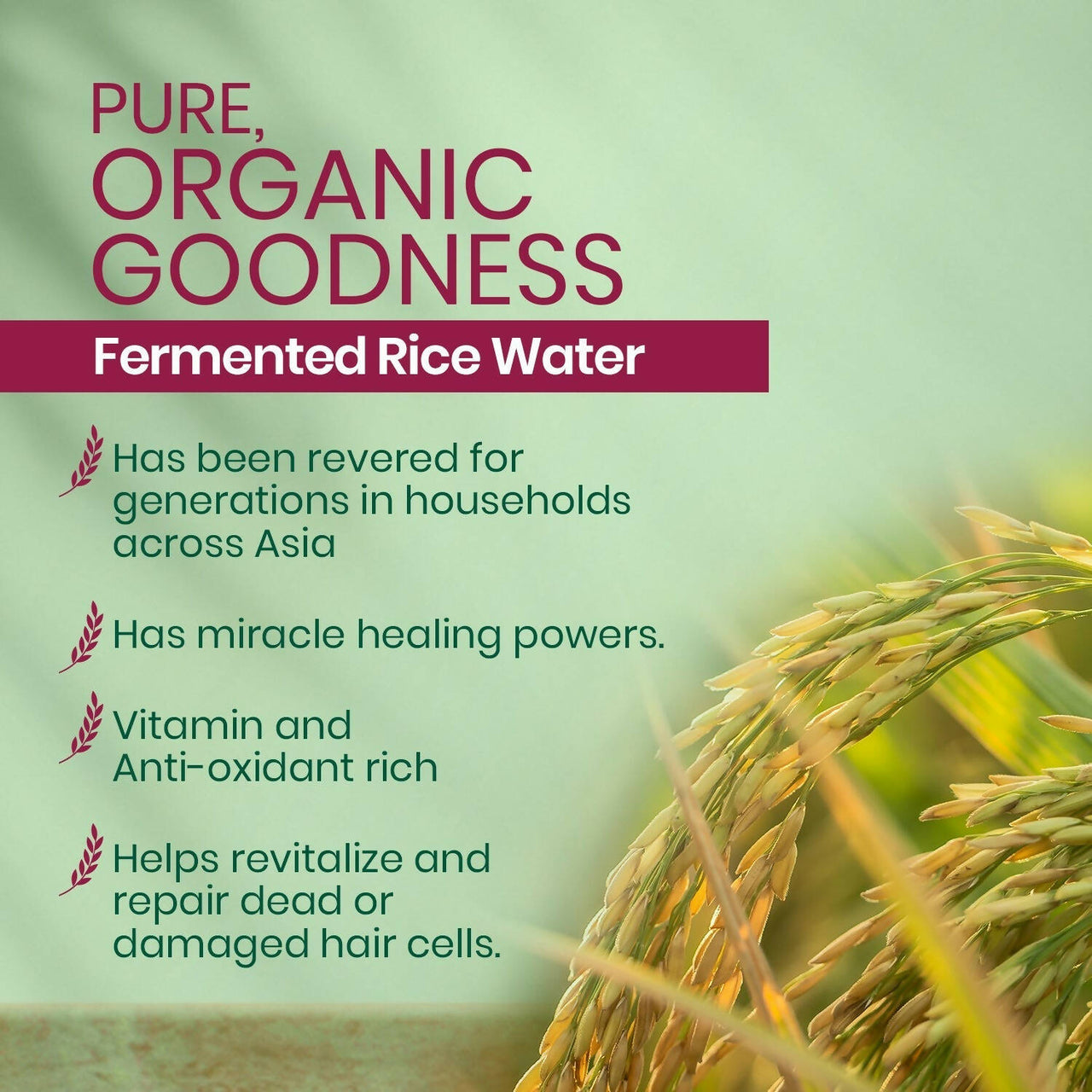 Kesh King Organics - Organic Fermented Rice Water Shampoo - Distacart