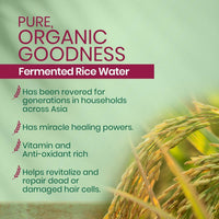 Thumbnail for Kesh King Organics - Organic Fermented Rice Water Shampoo - Distacart