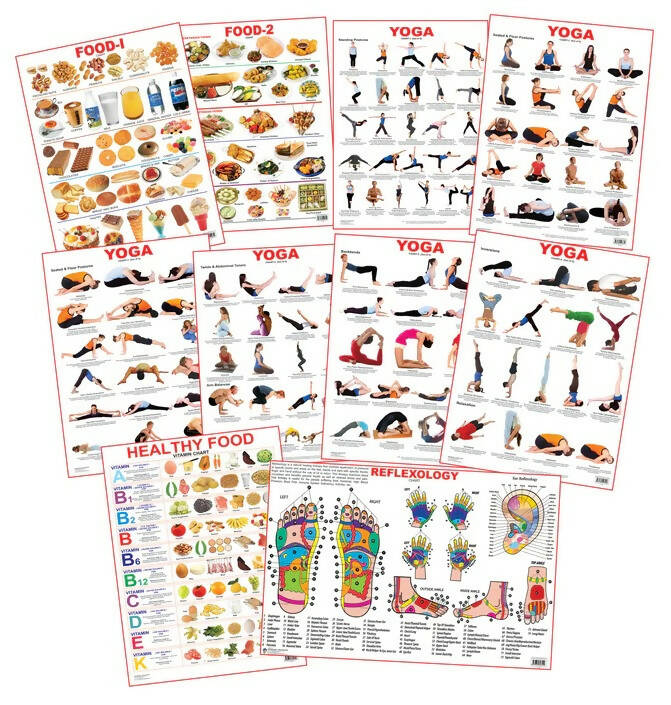 Dreamland Educational Charts - Combo 6 (10 Charts) : Children Early Learning Laminated Chart - Distacart