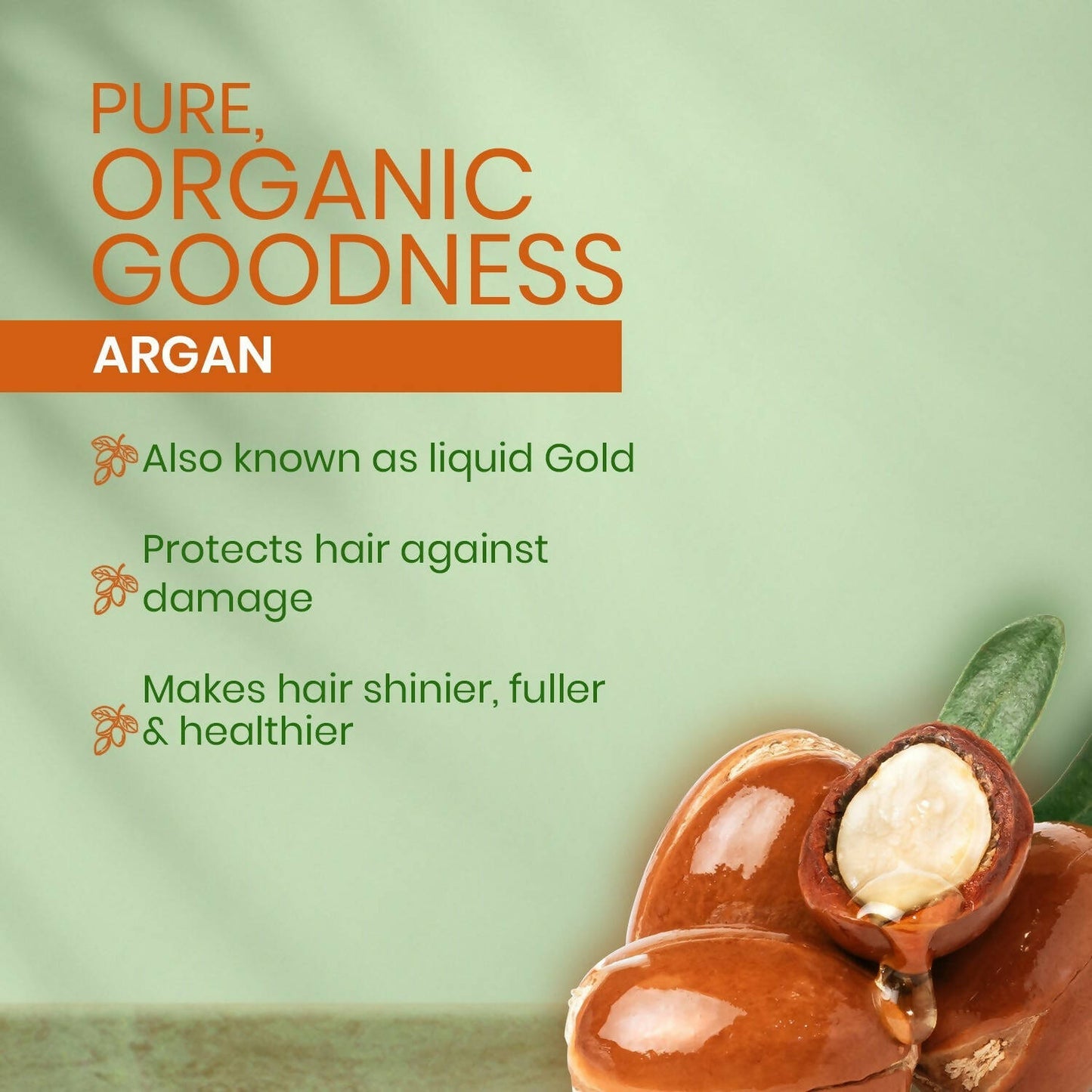 Kesh King Organics Argan Shampoo - Distacart