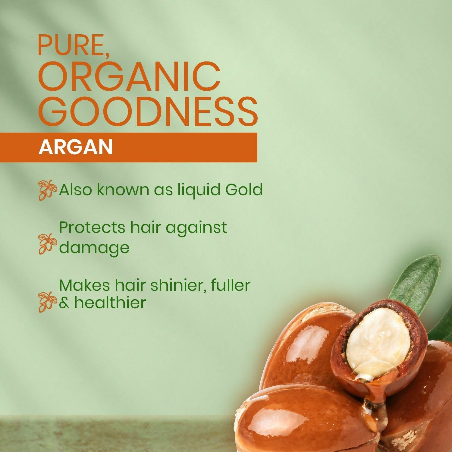 Kesh King Organics Argan Shampoo - Distacart