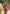 Vishnu Weaves Women's Red Handloom Raw Silk Woven Border Saree with Unstitched Blouse - Distacart