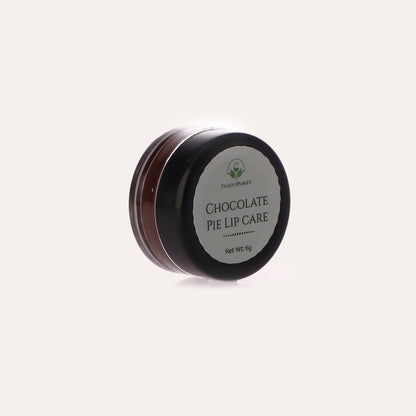 PrakritPurity Chocolate Pie Lip Care - Distacart