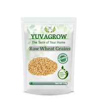 Thumbnail for Yuvagrow Raw Wheat Grains - Distacart