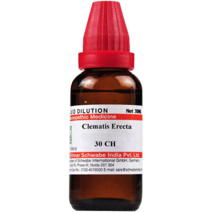 Dr. Willmar Schwabe India Clematis Erecta Dilution - Distacart