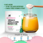 Thumbnail for BM Wellness Vegan Collagen Booster - Tropical Madness - Distacart