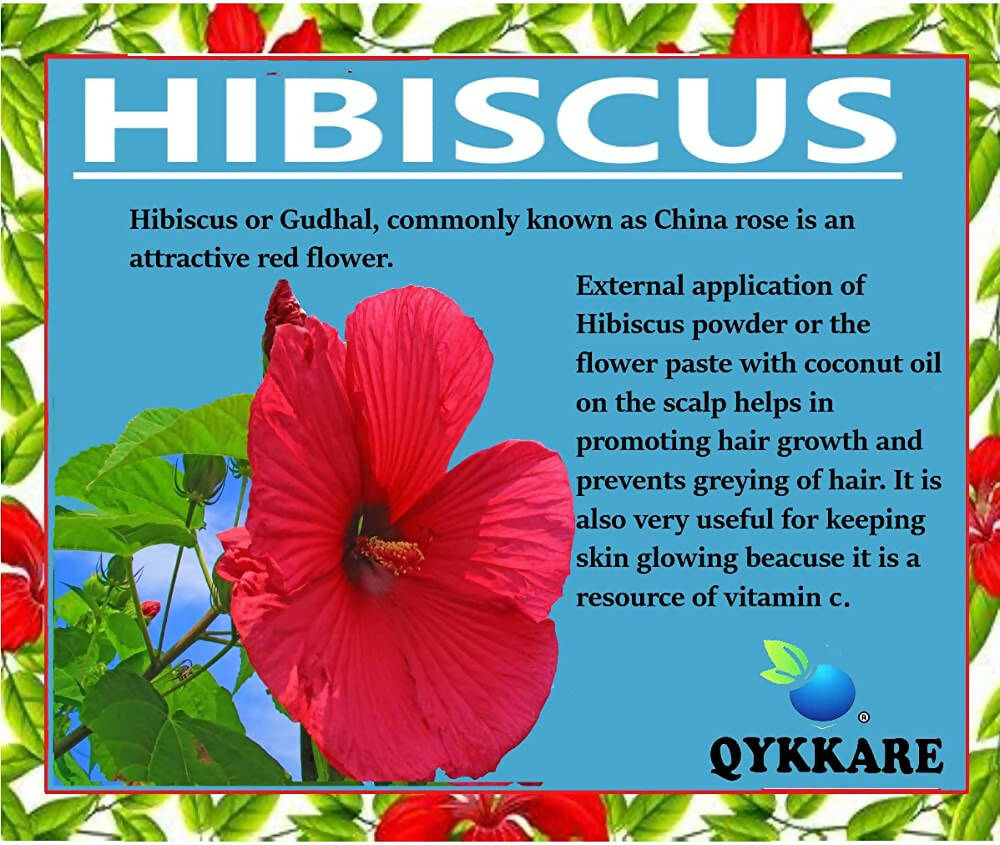 Qykkare Premium Hibiscus Powder For Hair Growth - Distacart
