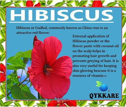 Qykkare Premium Hibiscus Powder For Hair Growth - Distacart