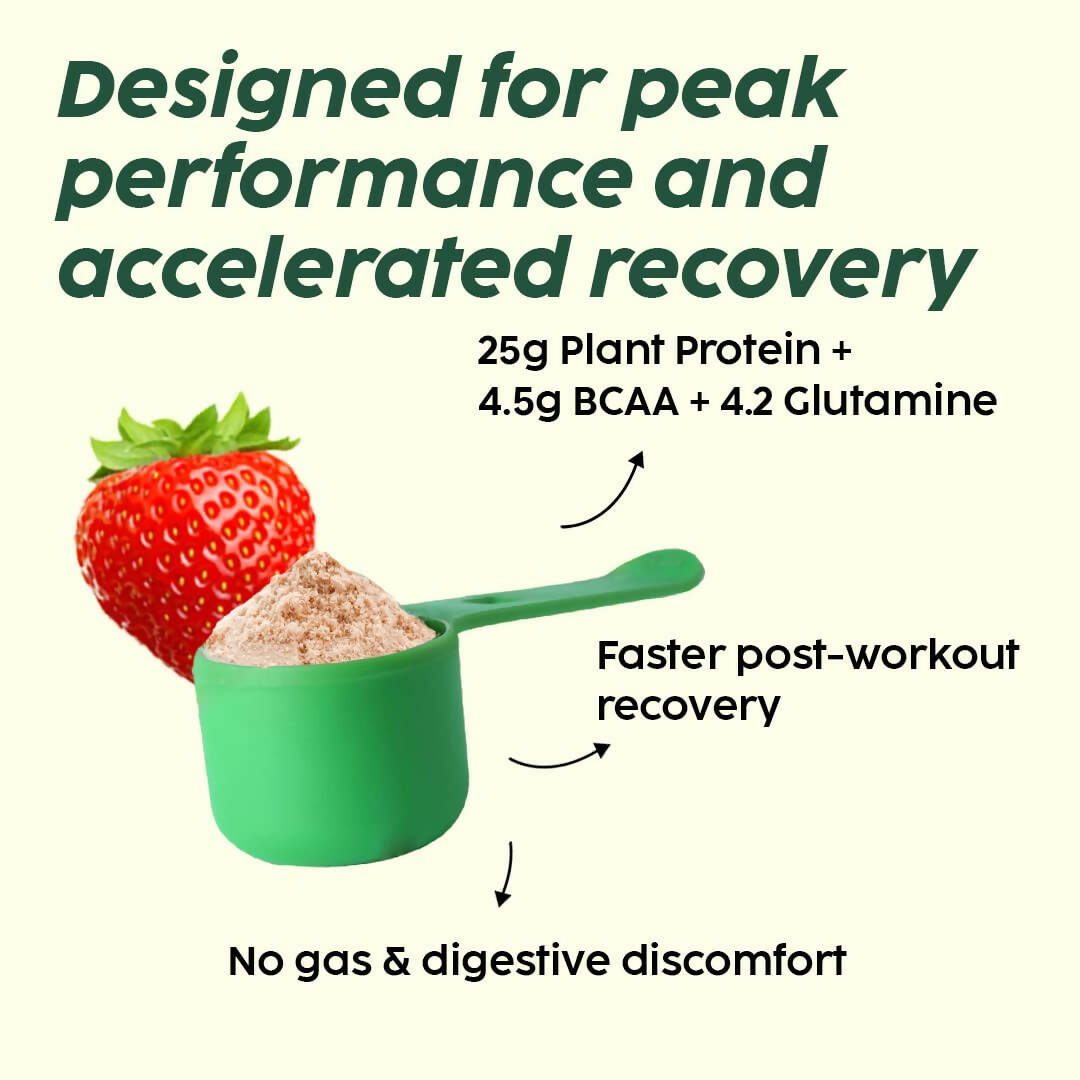 PLIX The Plant Fix Evolve Plant Protein Shake Powder - Mixed Berry - Distacart