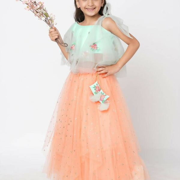 Lil Drama Girls Choli With Ghaghra Set - Peach - Distacart
