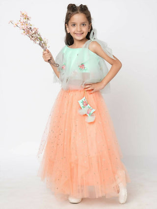 Lil Drama Girls Choli With Ghaghra Set - Peach - Distacart