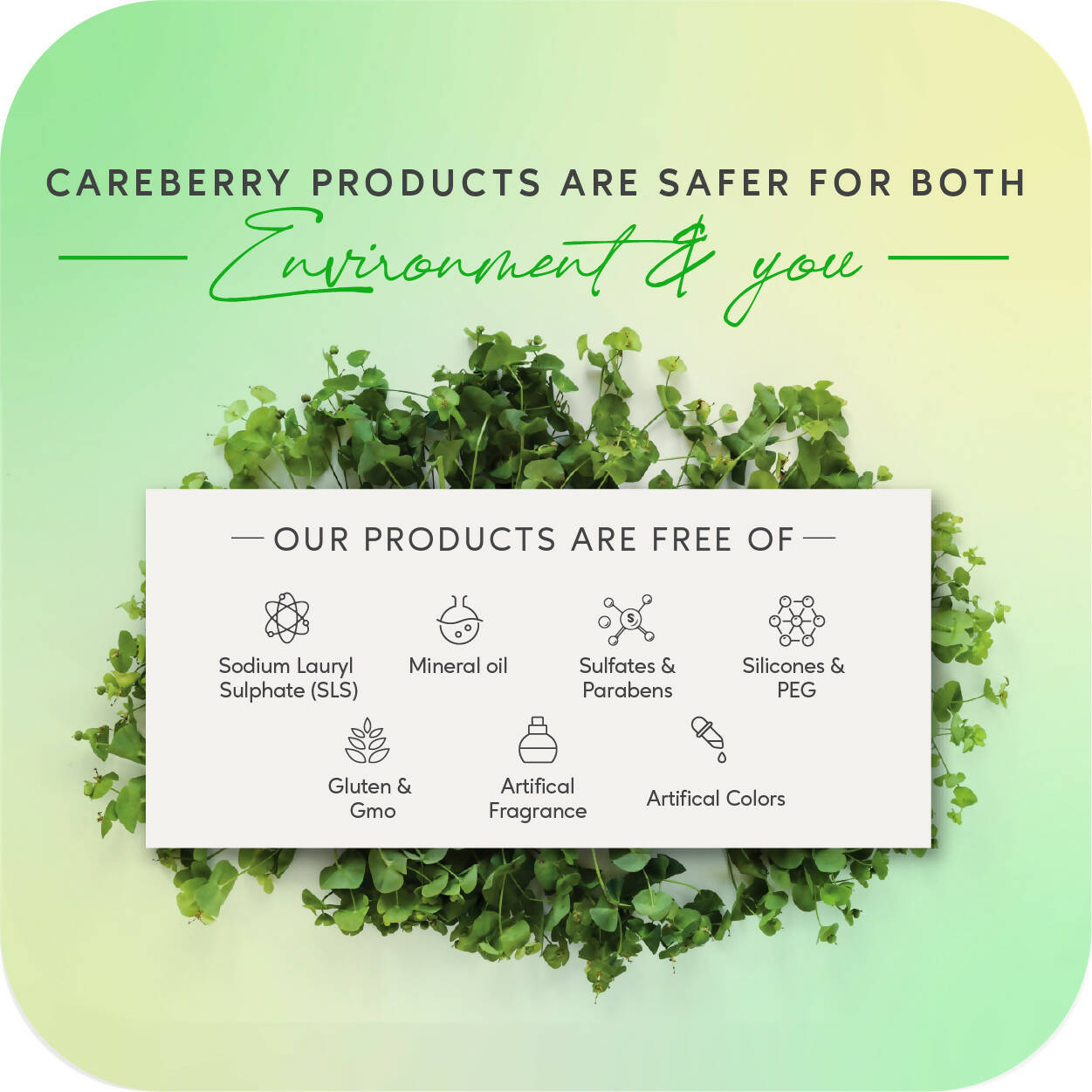 Careberry Organic Tea Tree Oil & Shea Butter Nourishing Body Lotion - Distacart