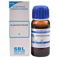 Thumbnail for SBL Homeopathy Plantago Major Mother Tincture Q
