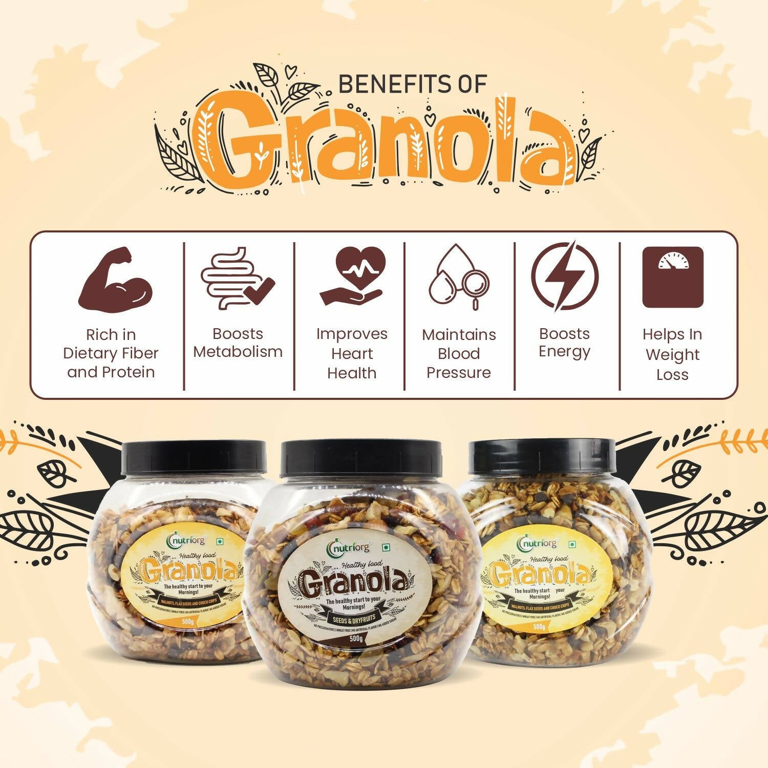 Nutriorg Crunchy Granola Seeds & Dry Fruit Flavor - Distacart