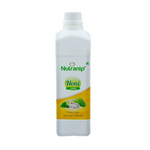 Thumbnail for Nutranip Noni Juice - Distacart