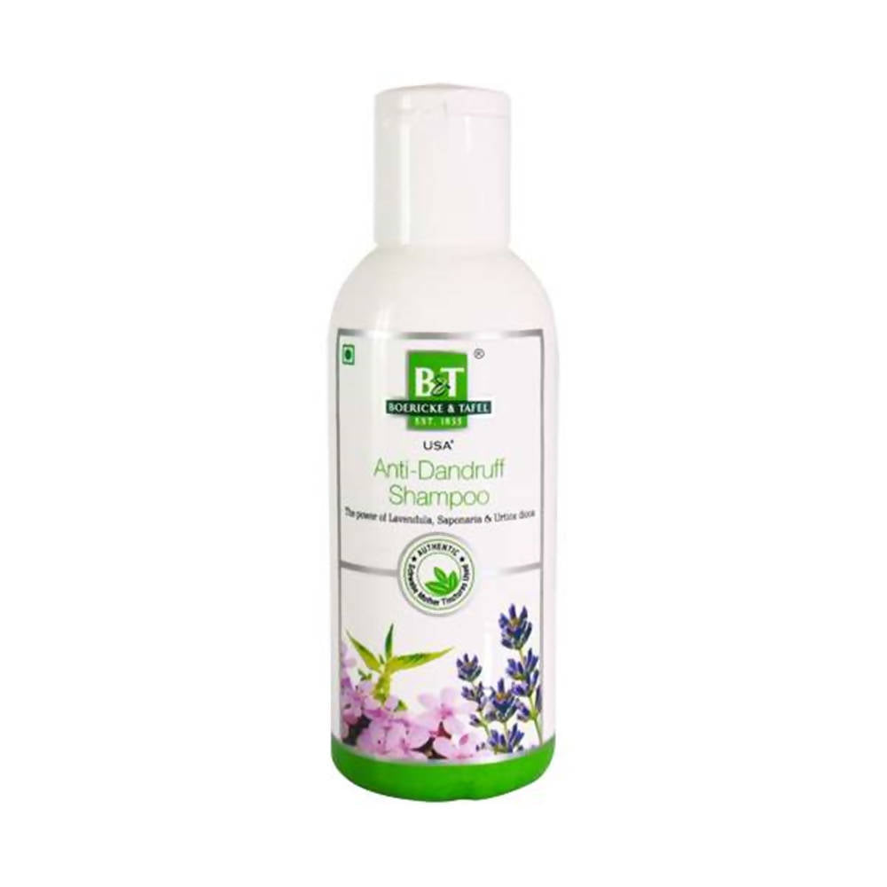 Boericke & Tafel Anti- Dandruff Shampoo - Distacart