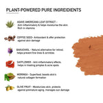 Thumbnail for BlushBee Organic Beauty Colour Corrector - Distacart