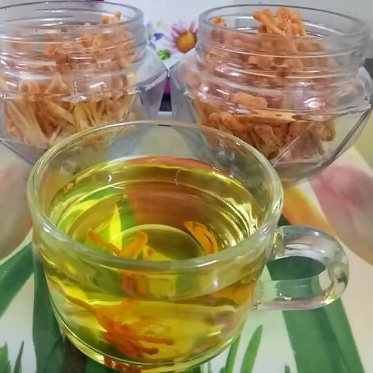 Cordy Herb Cordy Tea Dry Cordyceps Tea - Distacart