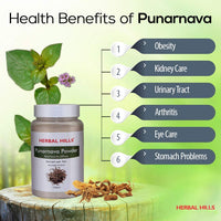 Thumbnail for Herbal Hills Ayurveda Punarnava Powder 