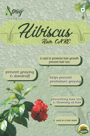 Spag Herbals Premium Hibiscus Leaf Powder - Distacart