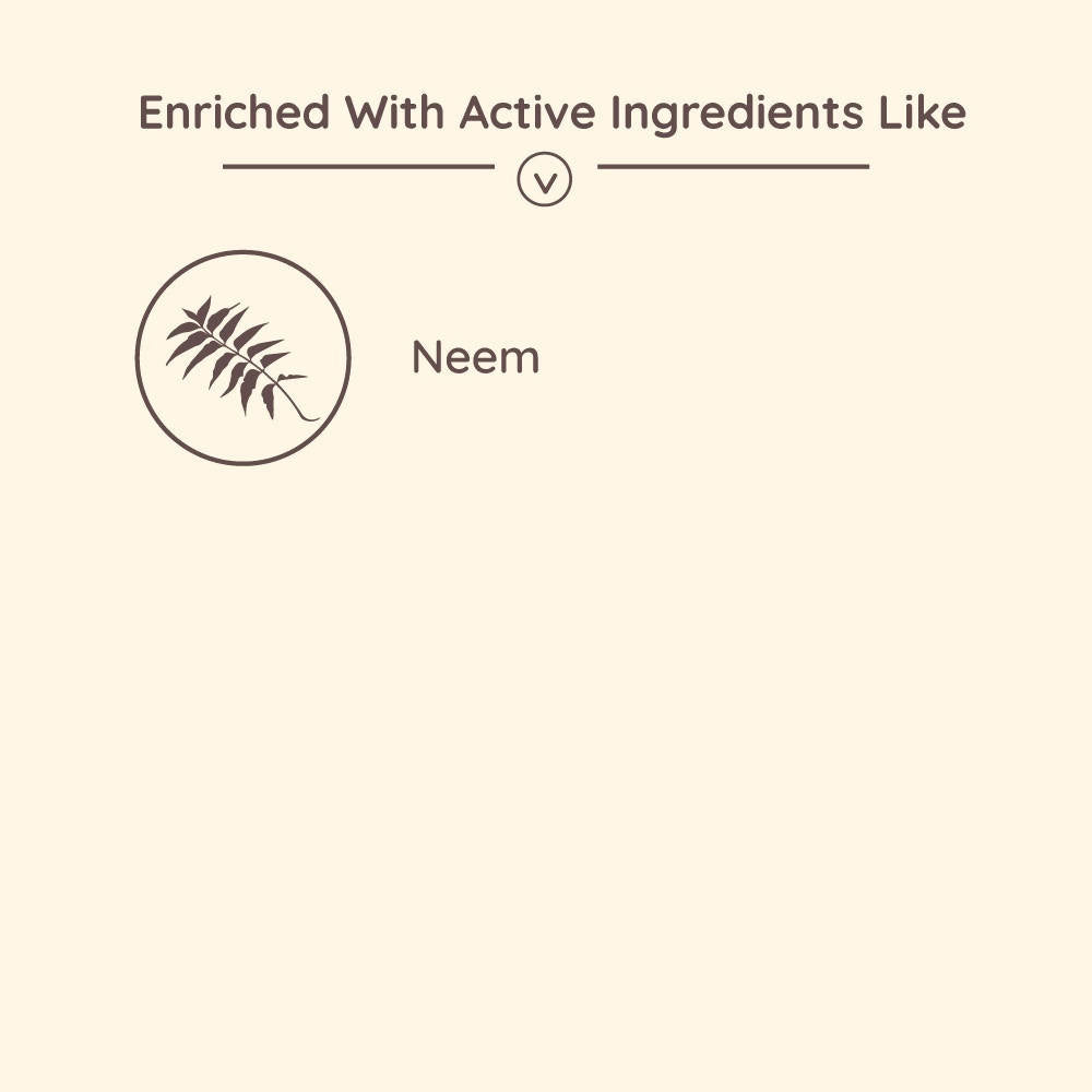 Ozone Neem Face Wash Ingredients